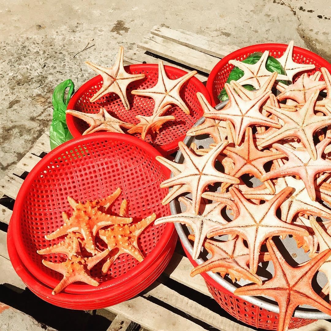 du lich Phu Quoc anh 9