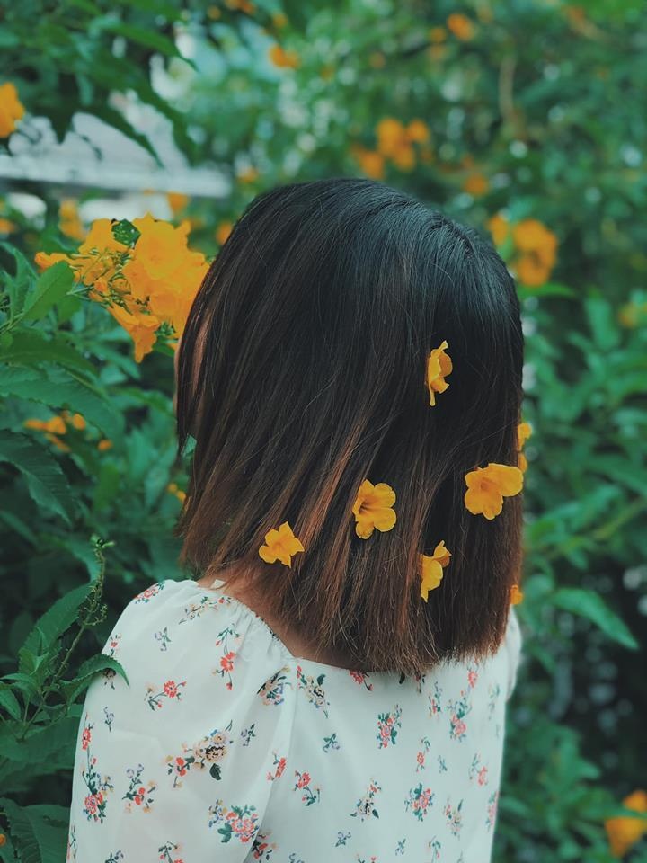 check-in duong ray xe lua anh 3