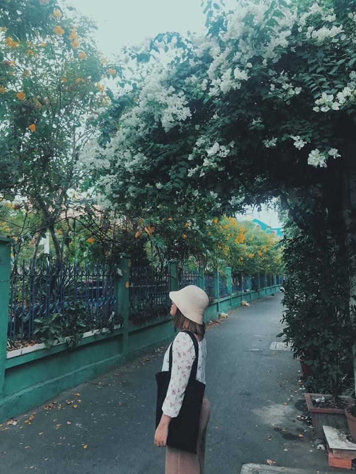 check-in duong ray xe lua anh 10