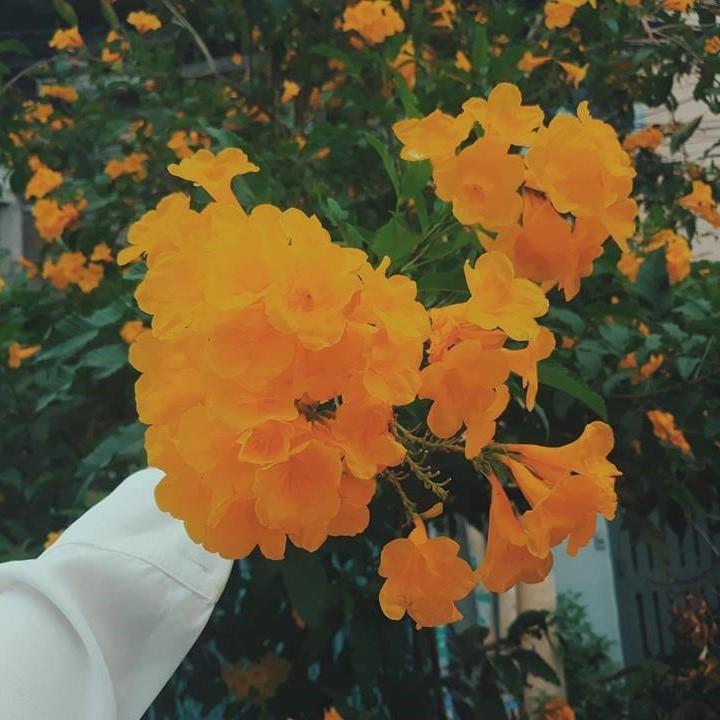 check-in duong ray xe lua anh 5