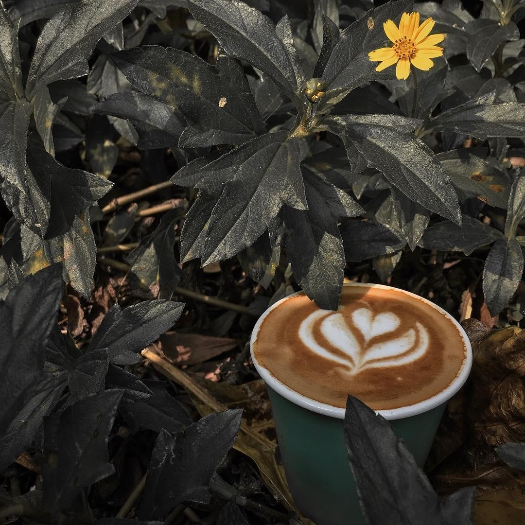 ca phe bangkok anh 7