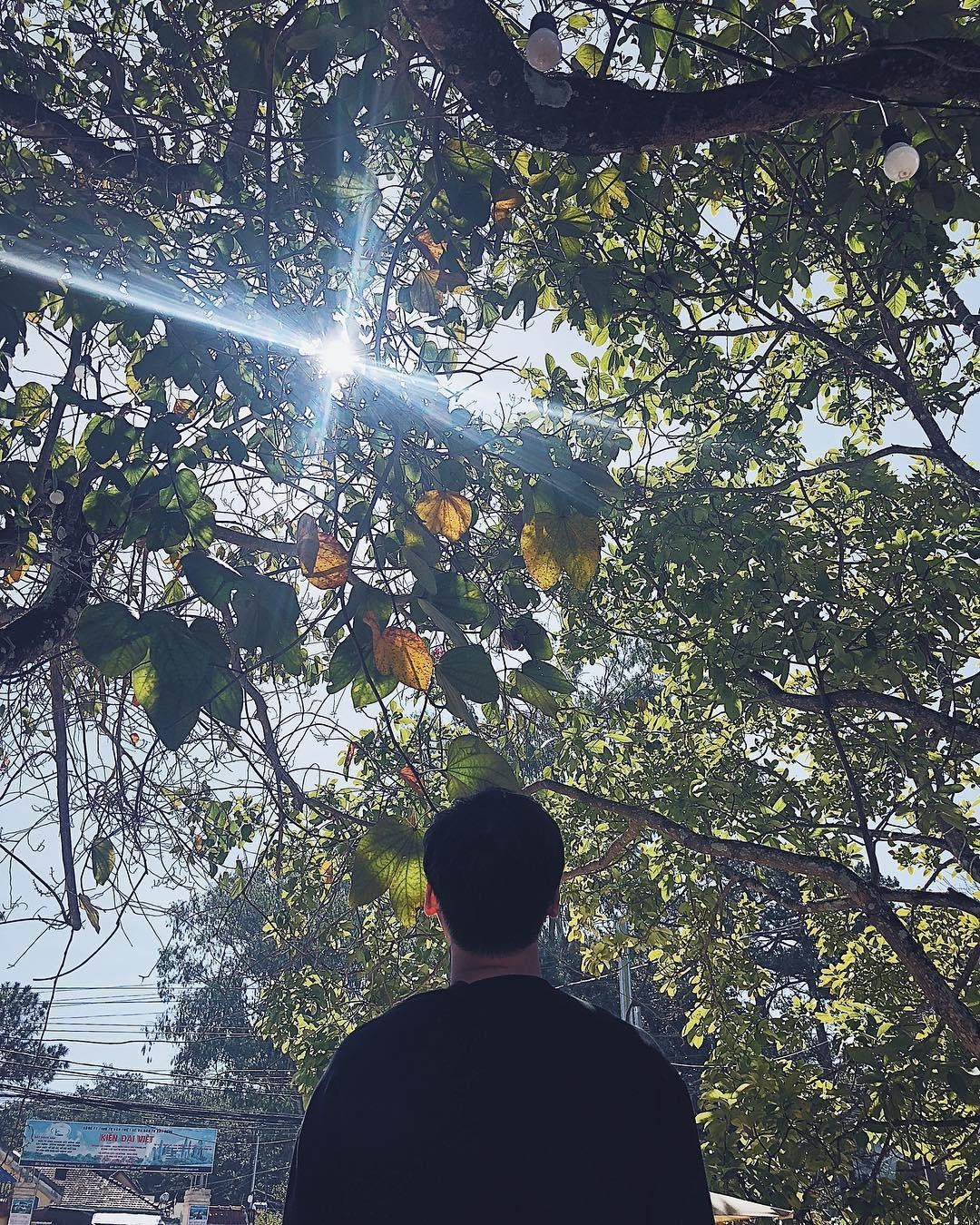 ca phe chocolate da lat anh 12