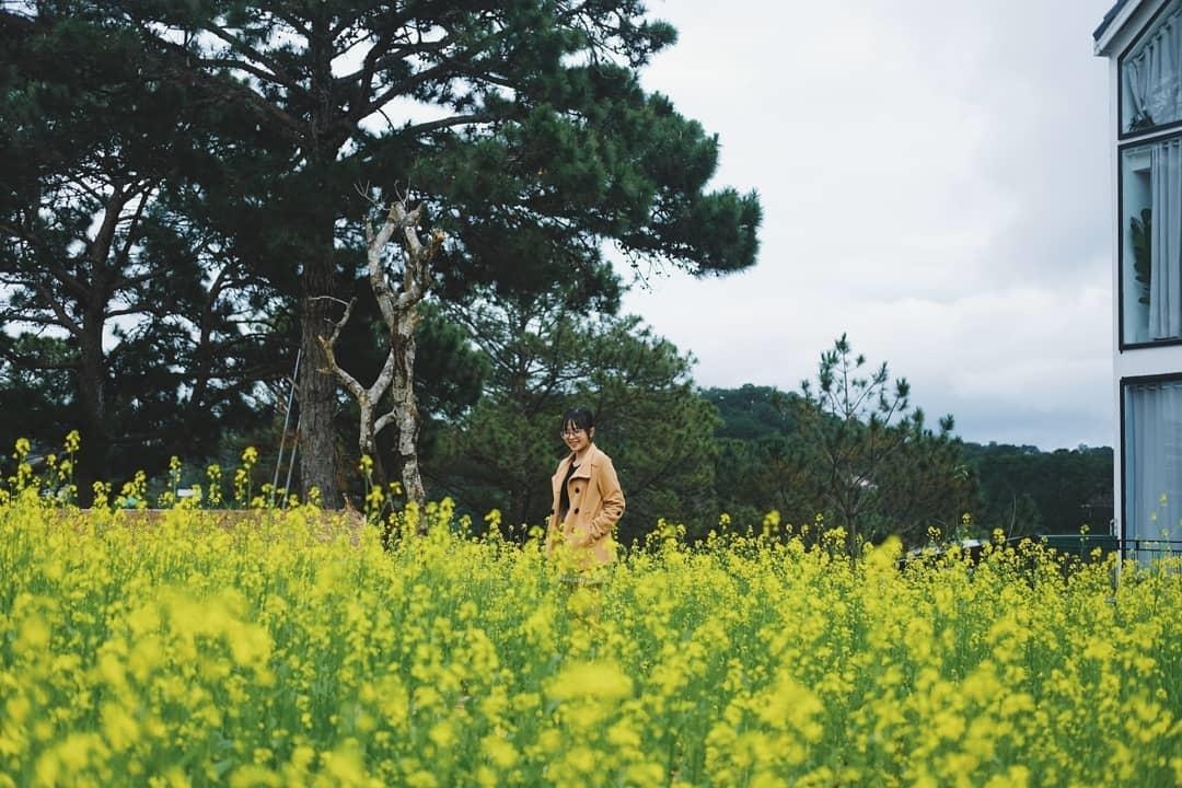 homestay da lat anh 9