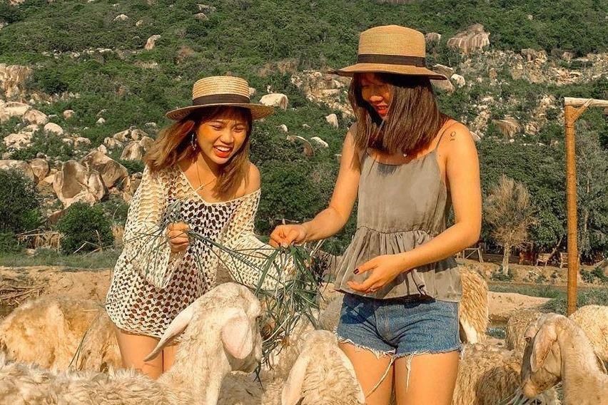 Den dong cuu Ninh Thuan de co bo anh tren thao nguyen doc la hinh anh