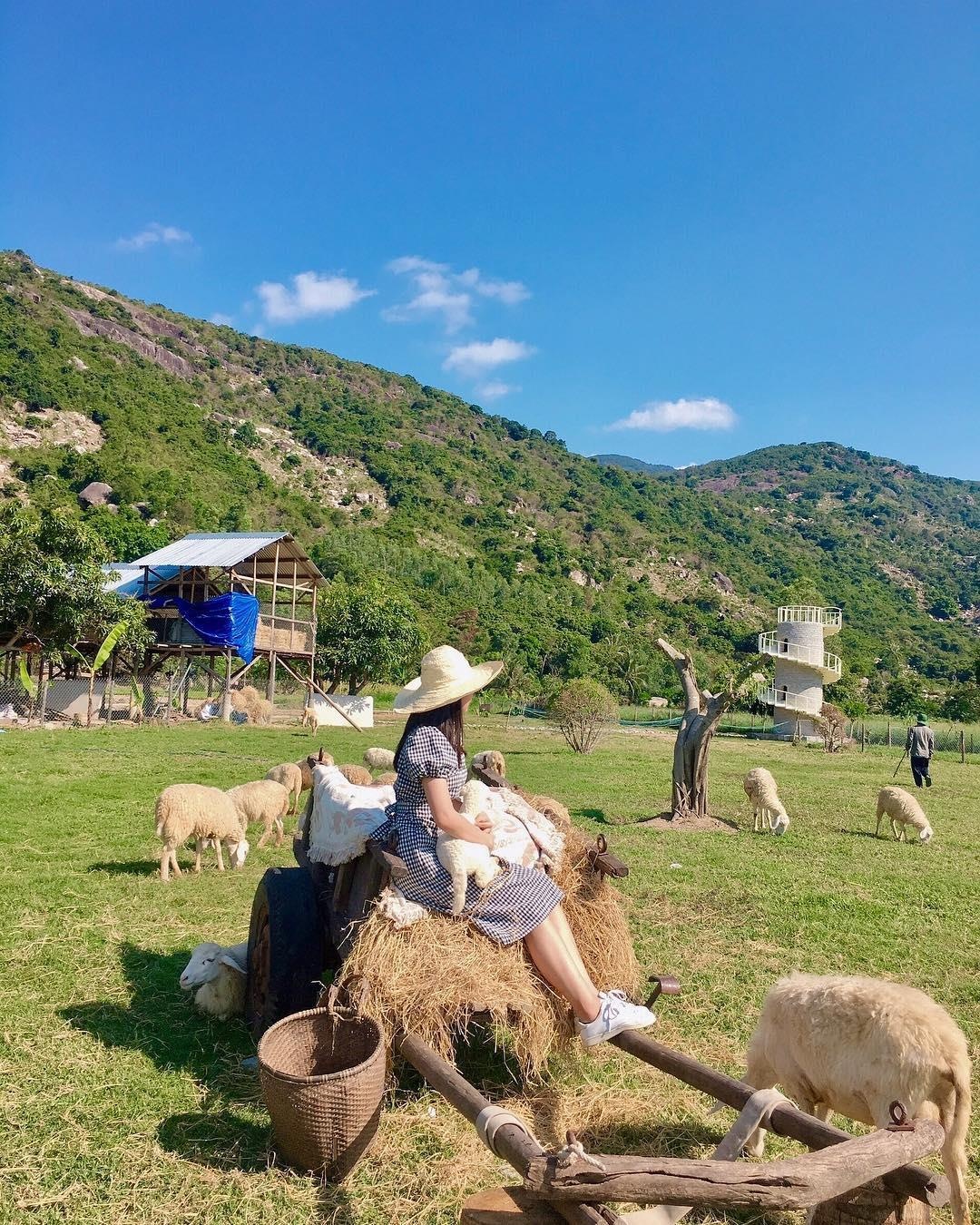 dong cuu suoi tien anh 8