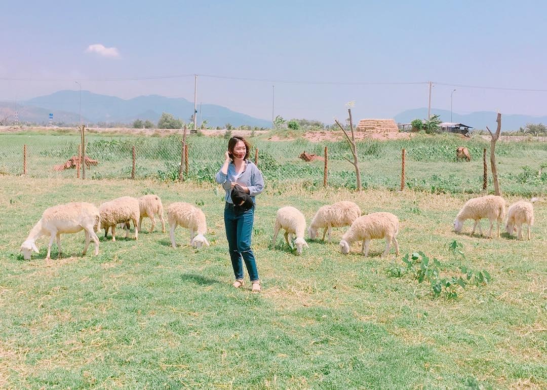 dong cuu suoi tien anh 13