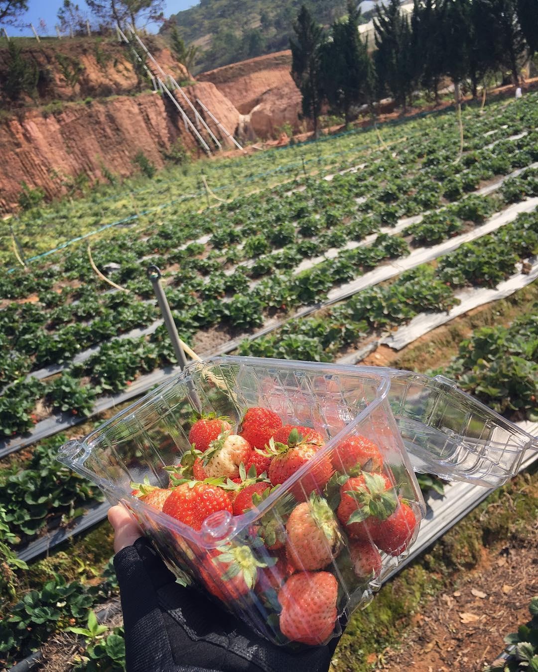 homestay da lat anh 3