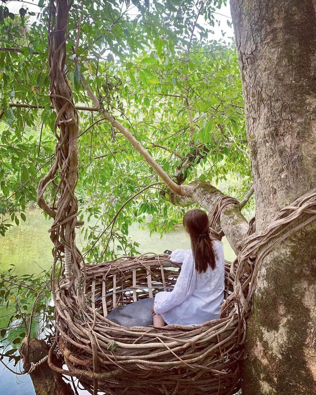 cong vien quang binh anh 1