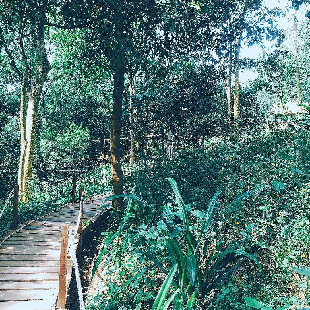 cong vien quang binh anh 12