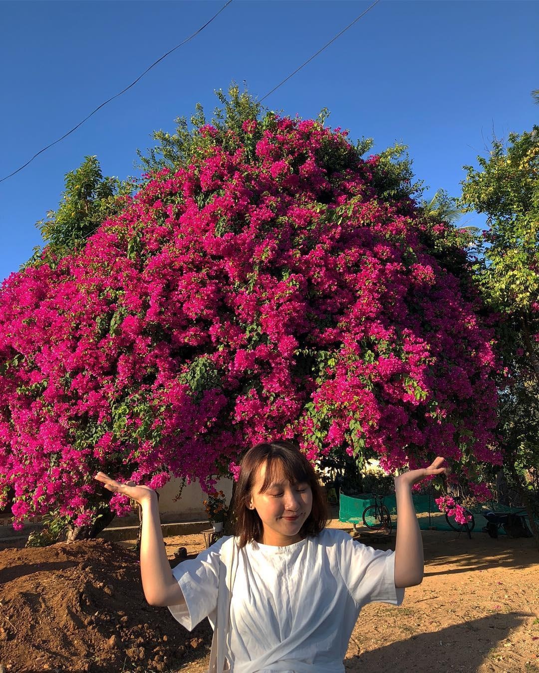 du lich ly son anh 20