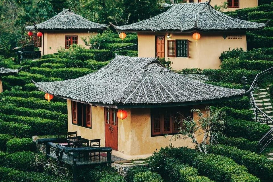 'Phuong Hoang co tran' dep ngo ngang giua long Thai Lan hinh anh