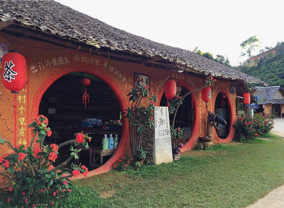 phuong hoang co tran anh 4