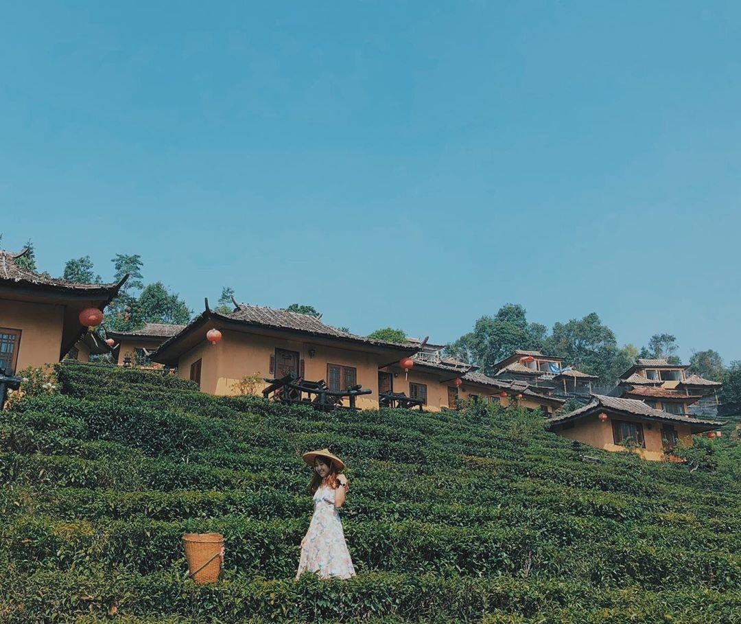 phuong hoang co tran anh 16