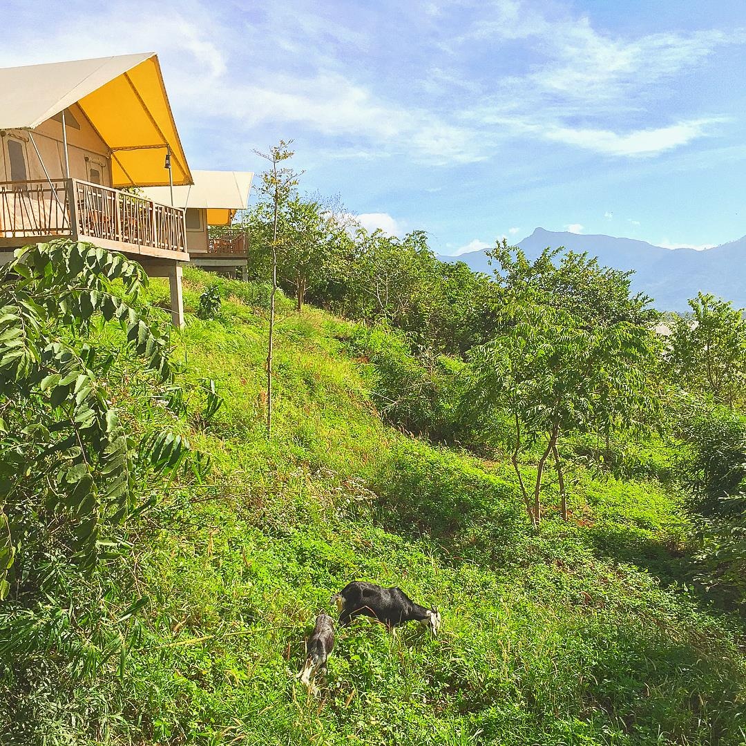 homestay Tay Nguyen anh 7