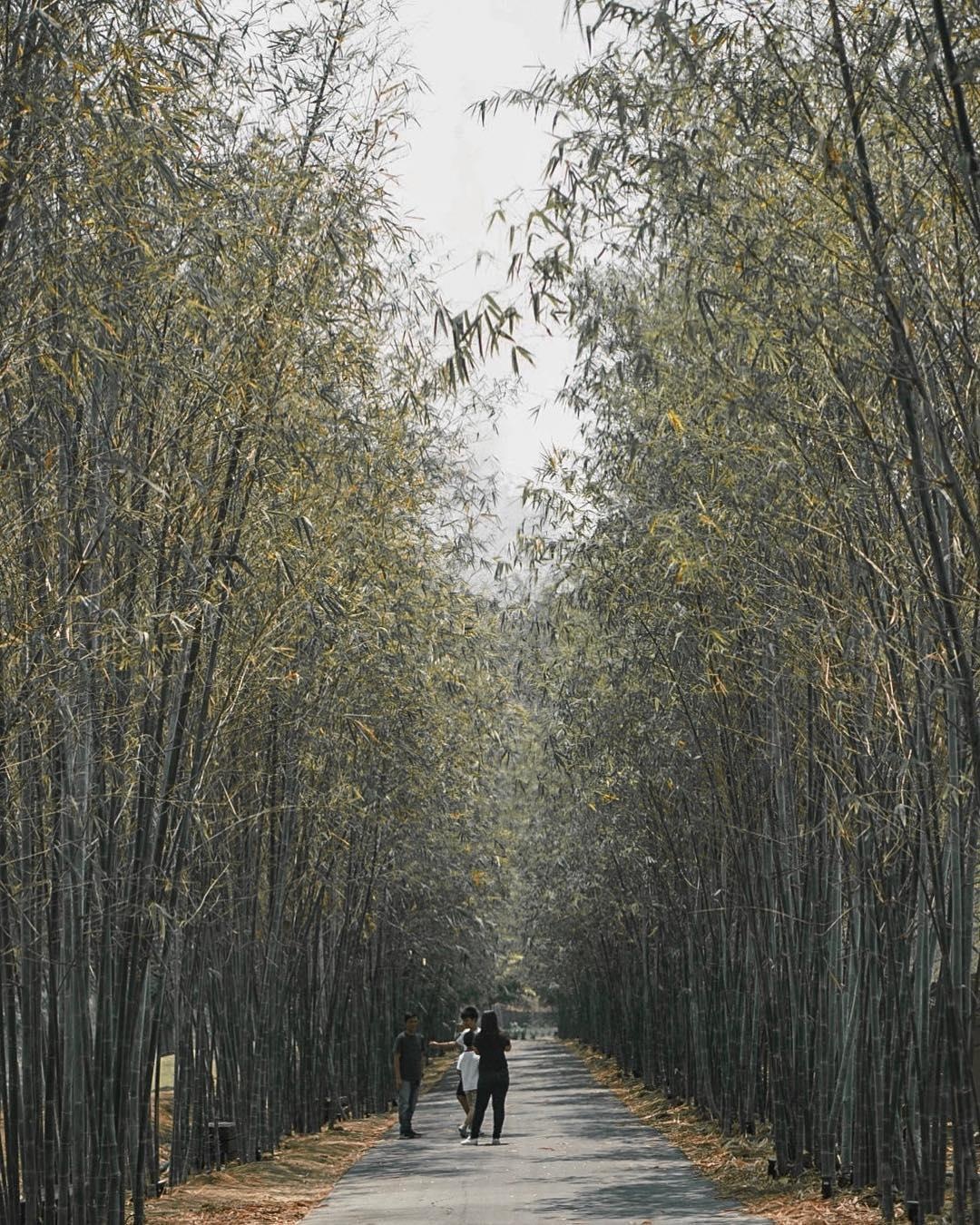 du lich bangkok anh 3