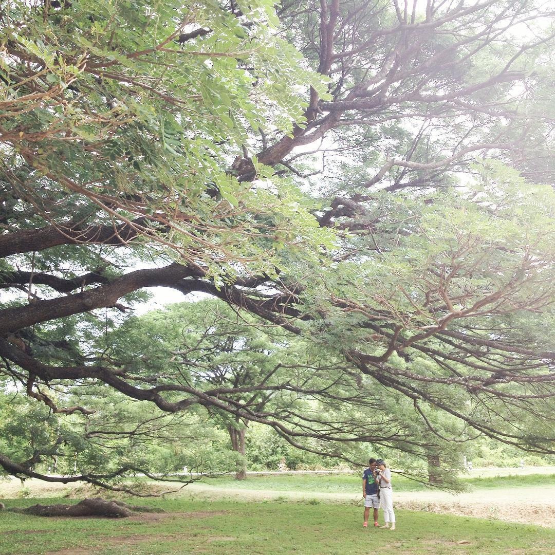 du lich bangkok anh 8