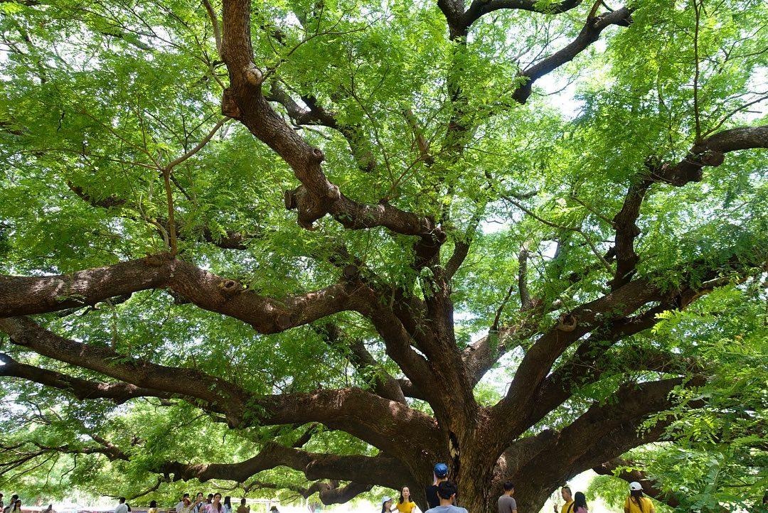 du lich bangkok anh 9