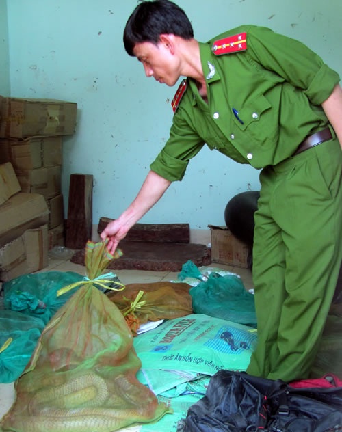 Bi phat 150 trieu vi giau ran ho duoi giuong nam xe khach hinh anh