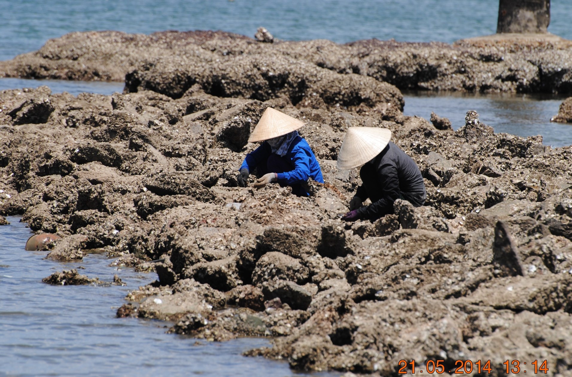 Dan ngheo muu sinh o cua song giua trua 39 do hinh anh