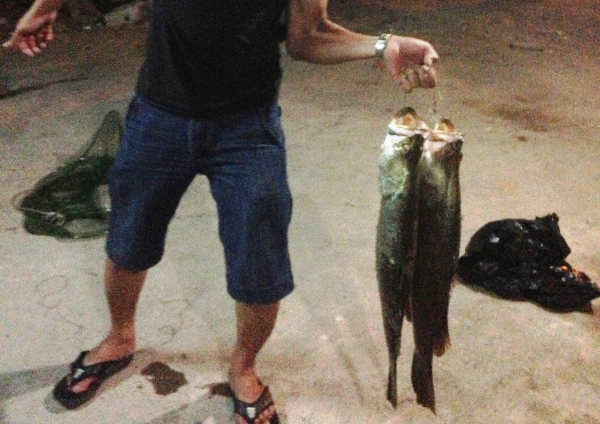 Trang dem san ca khung vung cua song hinh anh