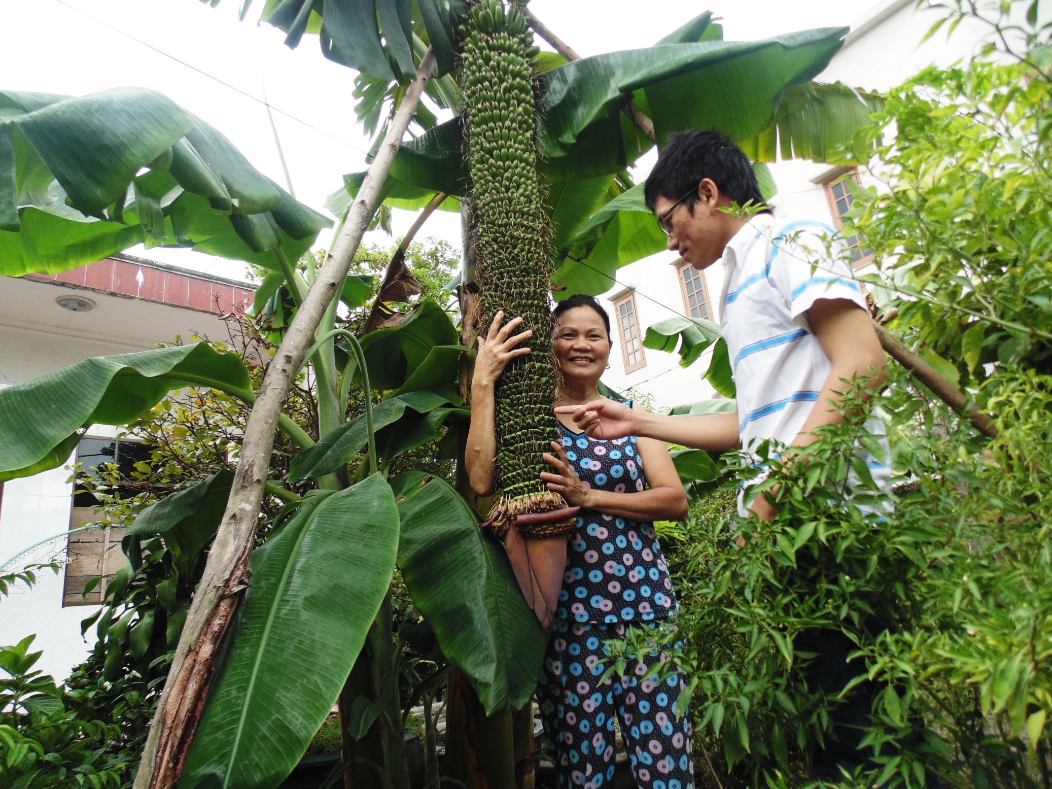 Buong chuoi dot bien hon 200 nai hinh anh
