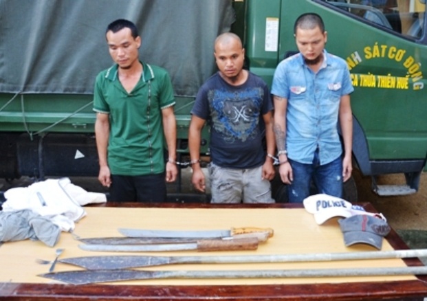 Con do hon chien o quan bar lam nhieu nguoi thuong hinh anh