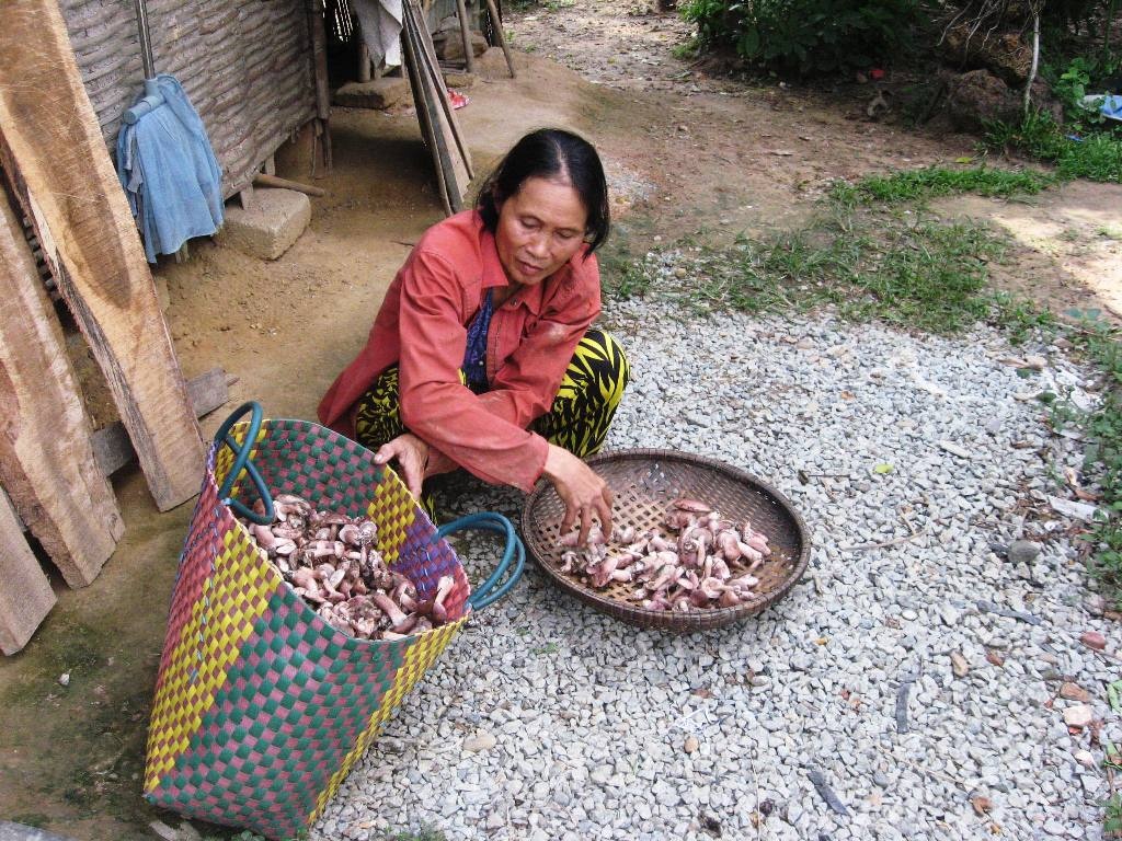 Hoàn cảnh gia đình cháu Tý rất khó khăn