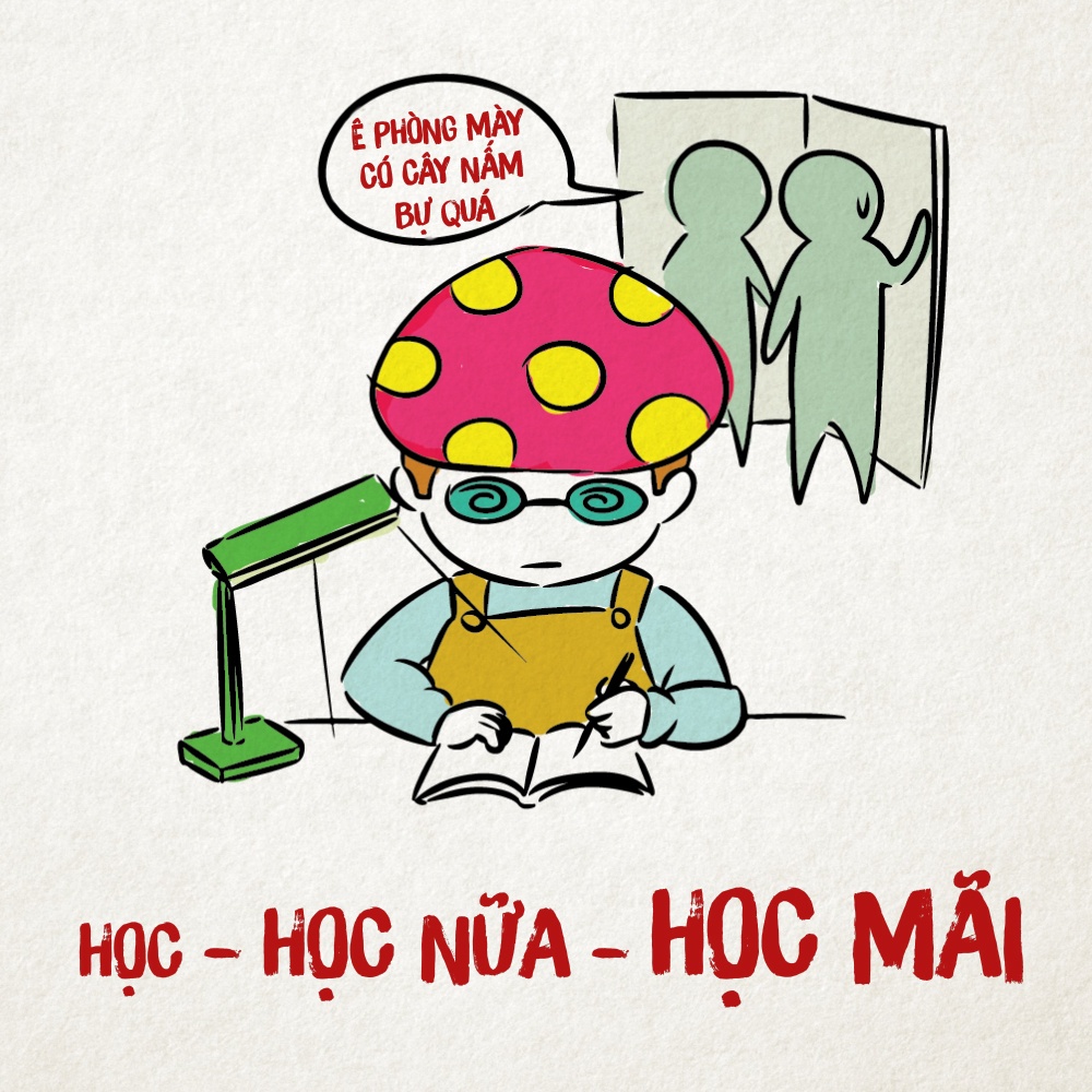 ban cung phong anh 1