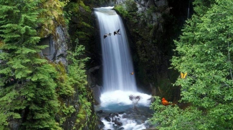 Gia Lai,  Pleiku,  Bien Ho,  Thac Phu Cuong anh 3