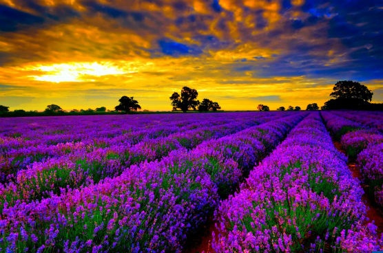 Ket hon voi nguoi chet anh 1