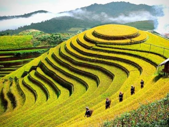 Dia danh nao o nuoc ta dep bac nhat the gioi? hinh anh