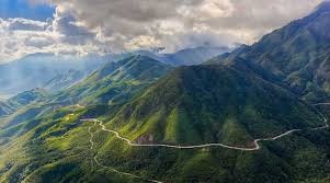 Ruong bac thang,  Yen Bai anh 6