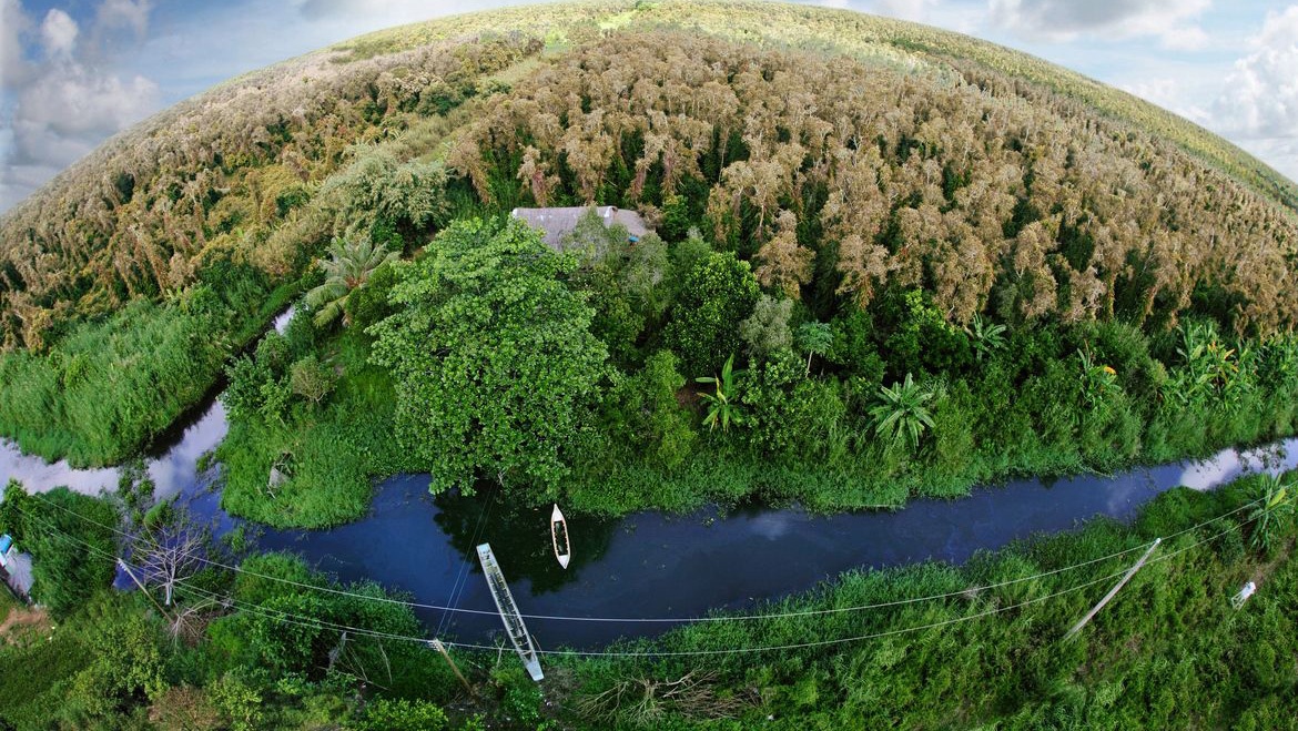 Cà Mau, U Minh Hạ ảnh 6 Ca Mau, U Minh Ha anh 6