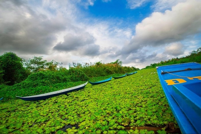 Phu Quoc,  Kien Giang anh 7