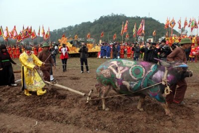 Đại Cồ Việt ảnh 8 Dai Co Viet anh 8