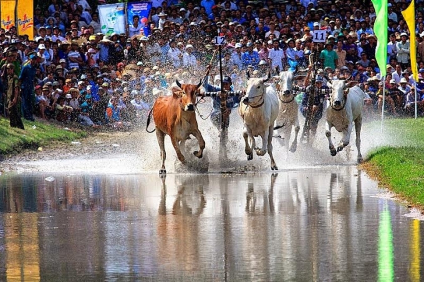 Bo cap Bay Nui anh 2