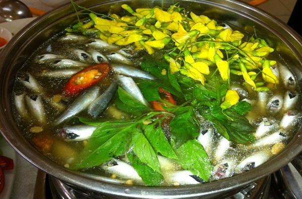Đồng Tháp Mười ảnh 7 Dong Thap Muoi anh 7