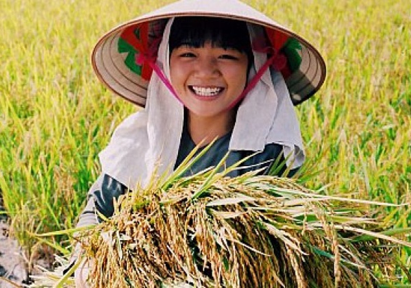 Chị Hai năm tấn ảnh 1 Chi Hai nam tan anh 1