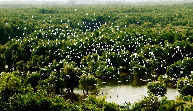 Bến Ninh Kiều ảnh 7 Ben Ninh Kieu anh 7