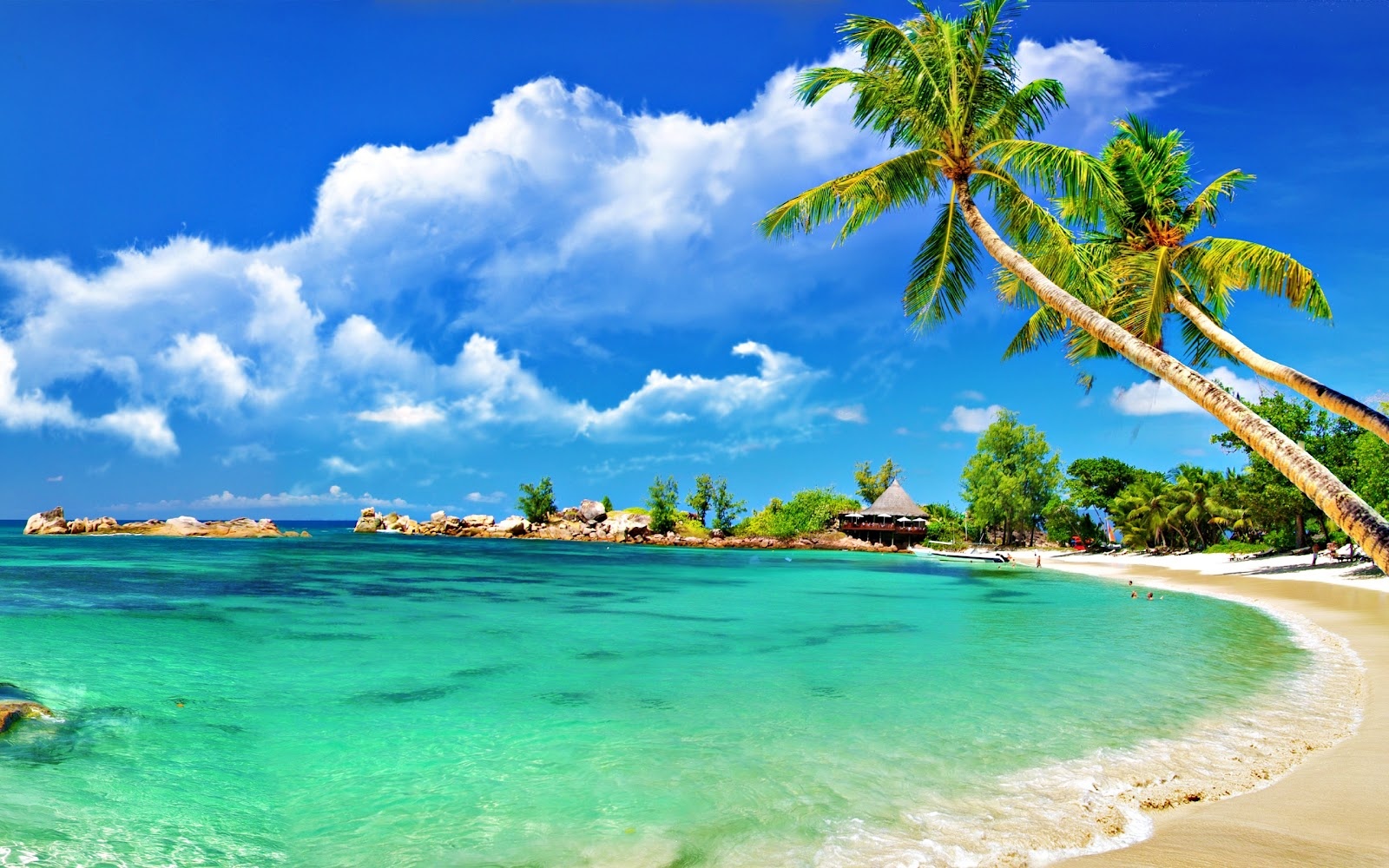 Nước biển màu gì ảnh 6 Nuoc bien mau gi anh 6