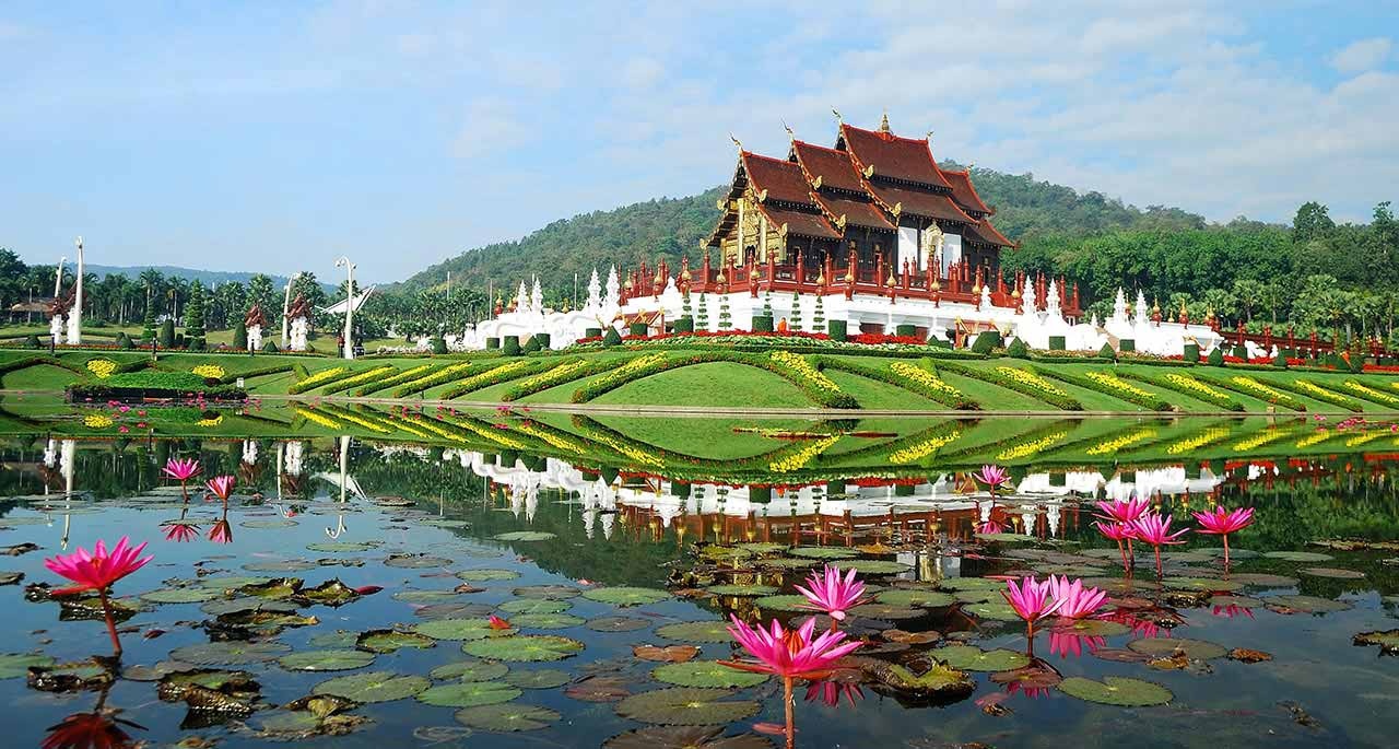 Tam Giác Vàng ảnh 1 Tam Giac Vang anh 1
