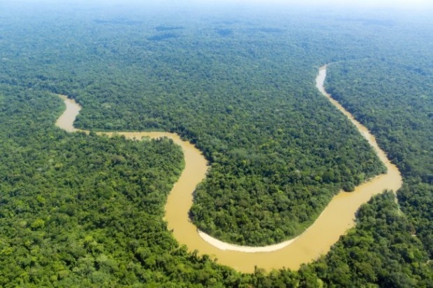 Đội tuyển Brazil,  vũ điệu Samba,  sông Amazon ảnh 8 Doi tuyen Brazil,  vu dieu Samba,  song Amazon anh 8