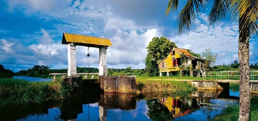 FIFA World Cup, Nam Mỹ, Uruguay ảnh 5 FIFA World Cup, Nam My, Uruguay anh 5