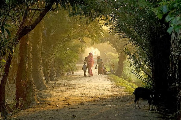 Bangladesh ảnh 4 Bangladesh anh 4