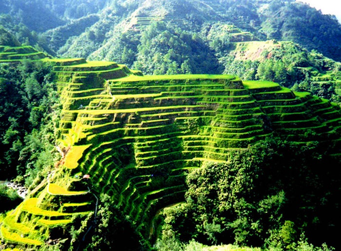 Philippines ảnh 6 Philippines anh 6