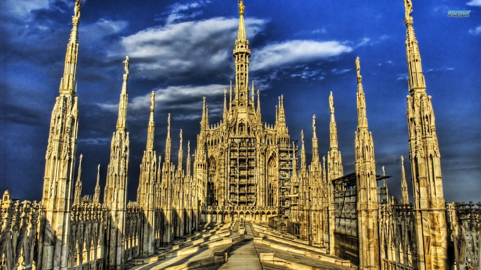 Hang dong bi an nao o Italy moi nam giet chet hon 6.000 dong vat? hinh anh