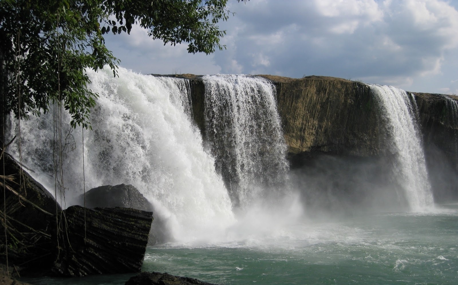 hồ tiêu ảnh 8 ho tieu anh 8