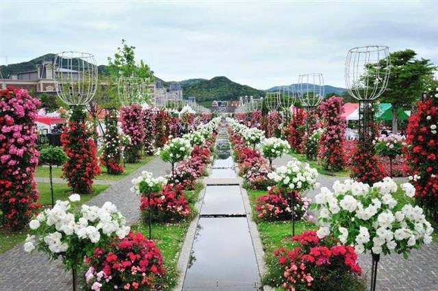Bulgaria ảnh 3 Bulgaria anh 3