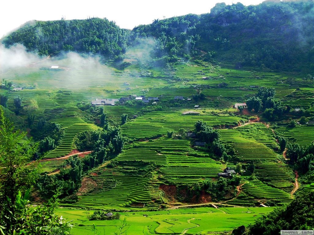 Sơn La ảnh 5 Son La anh 5