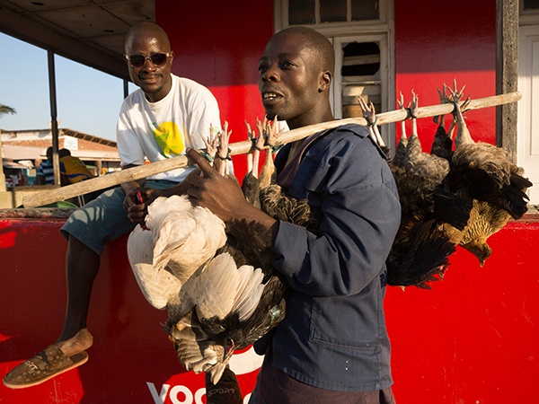 Mozambique ảnh 7 Mozambique anh 7